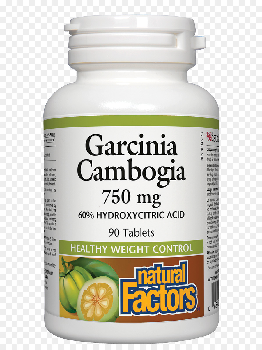 Garcinia Gummigutta，Complément Alimentaire PNG