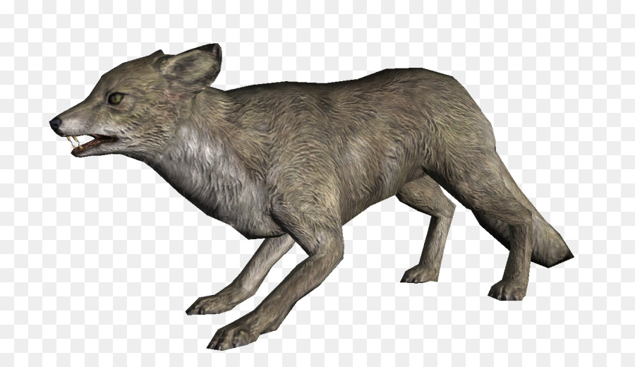 Le Renard Arctique，Elder Scrolls V Skyrim Enfant De Dragon PNG