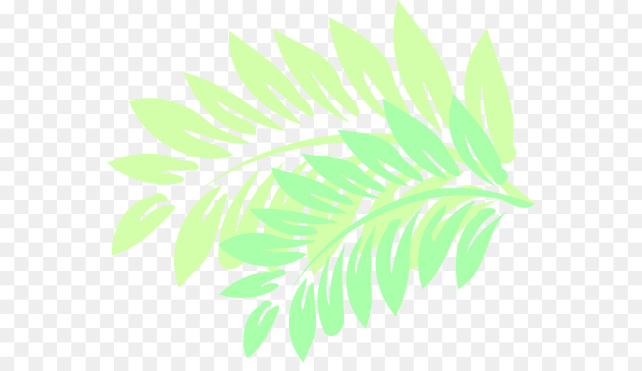 Feuille，Hibiscus PNG