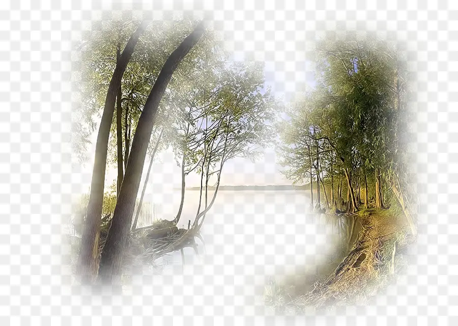 Paysage，Arbres PNG