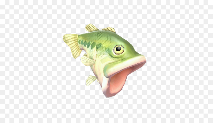 Poisson，Aquatique PNG