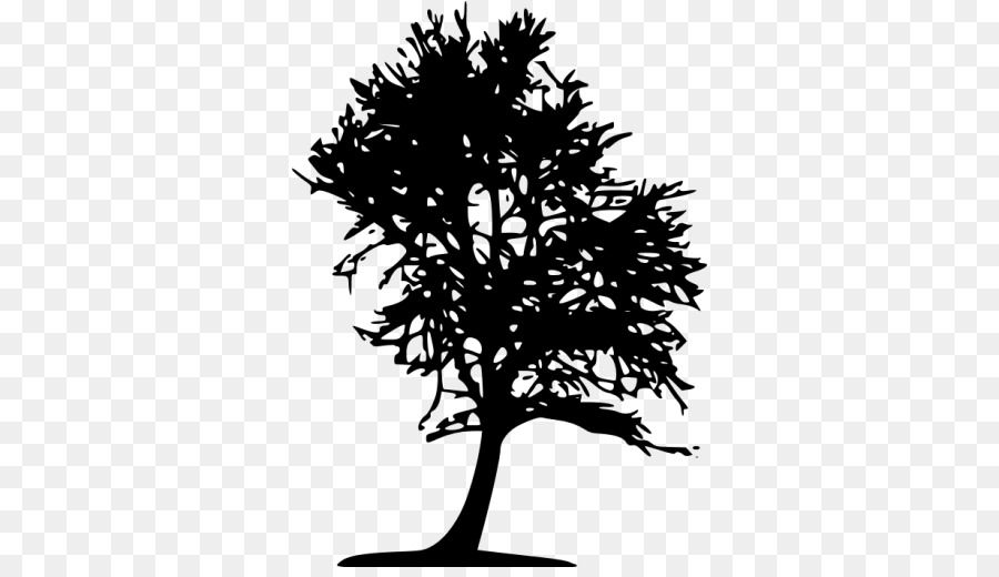 Silhouette D'arbre，Usine PNG