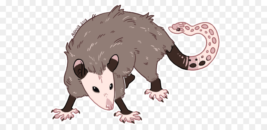 Opossum Commun，L Opossum De Virginie PNG