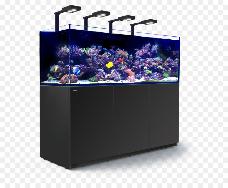 Mer，Aquarium Récifal PNG