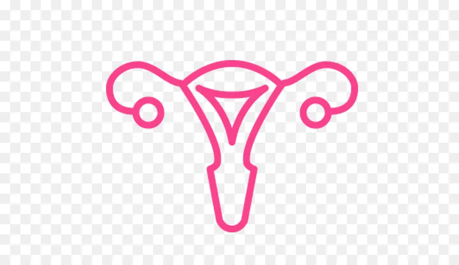Le Test De Pap，De L Utérus PNG