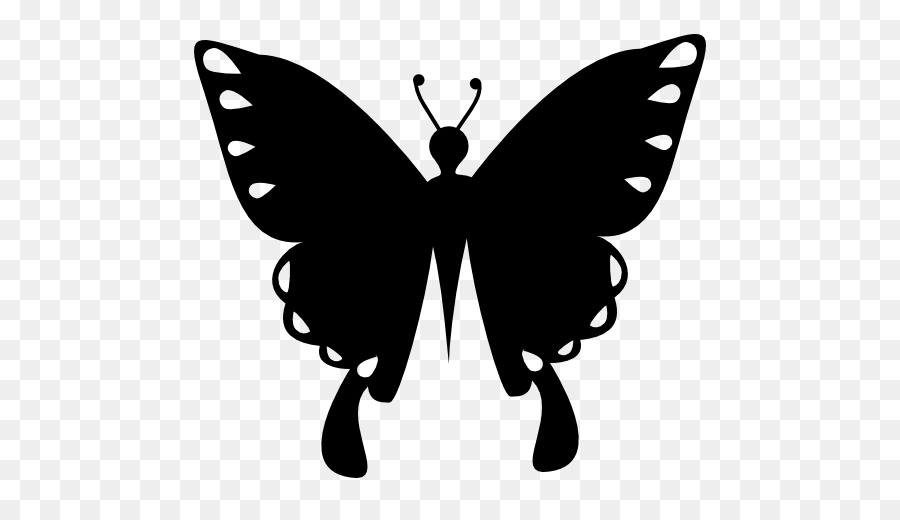 Papillon Noir，Insecte PNG