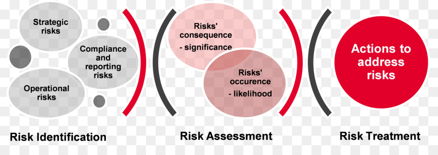 La Gestion Des Risques，Gestion PNG