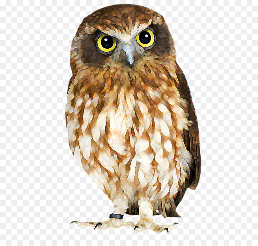 Hibou，Mignon PNG