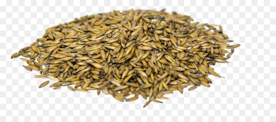 Graines，Grains PNG