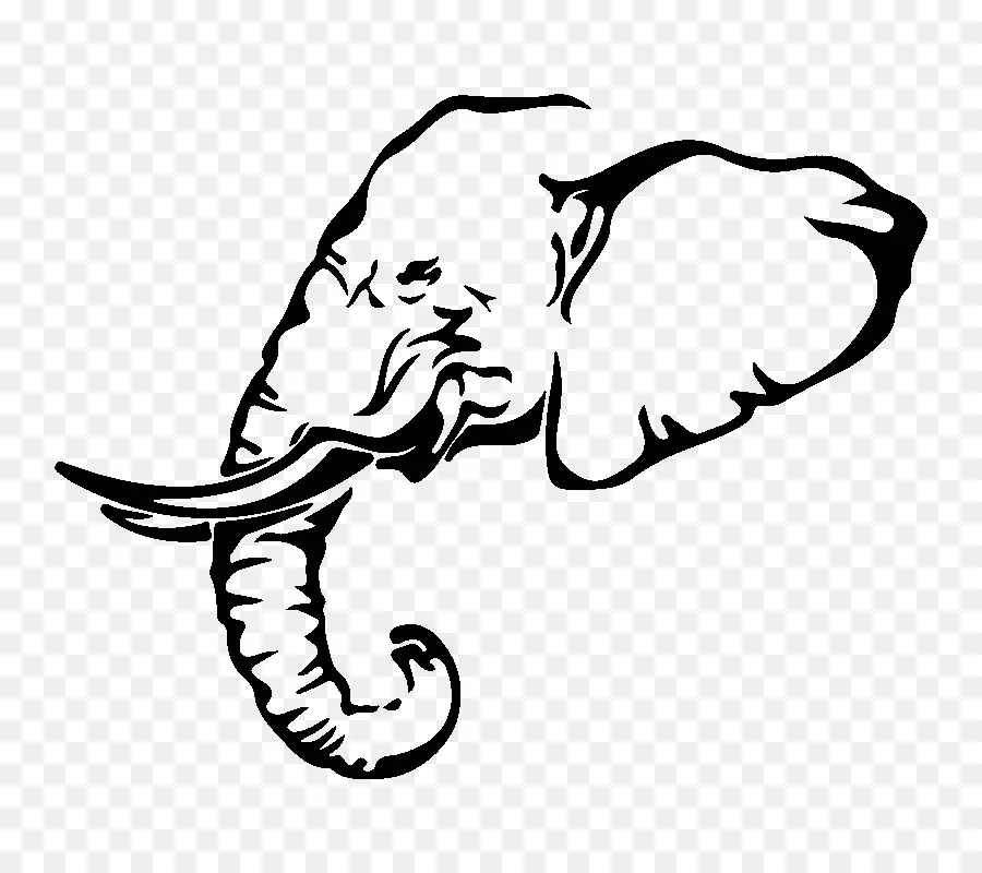 Éléphant，Défenses PNG