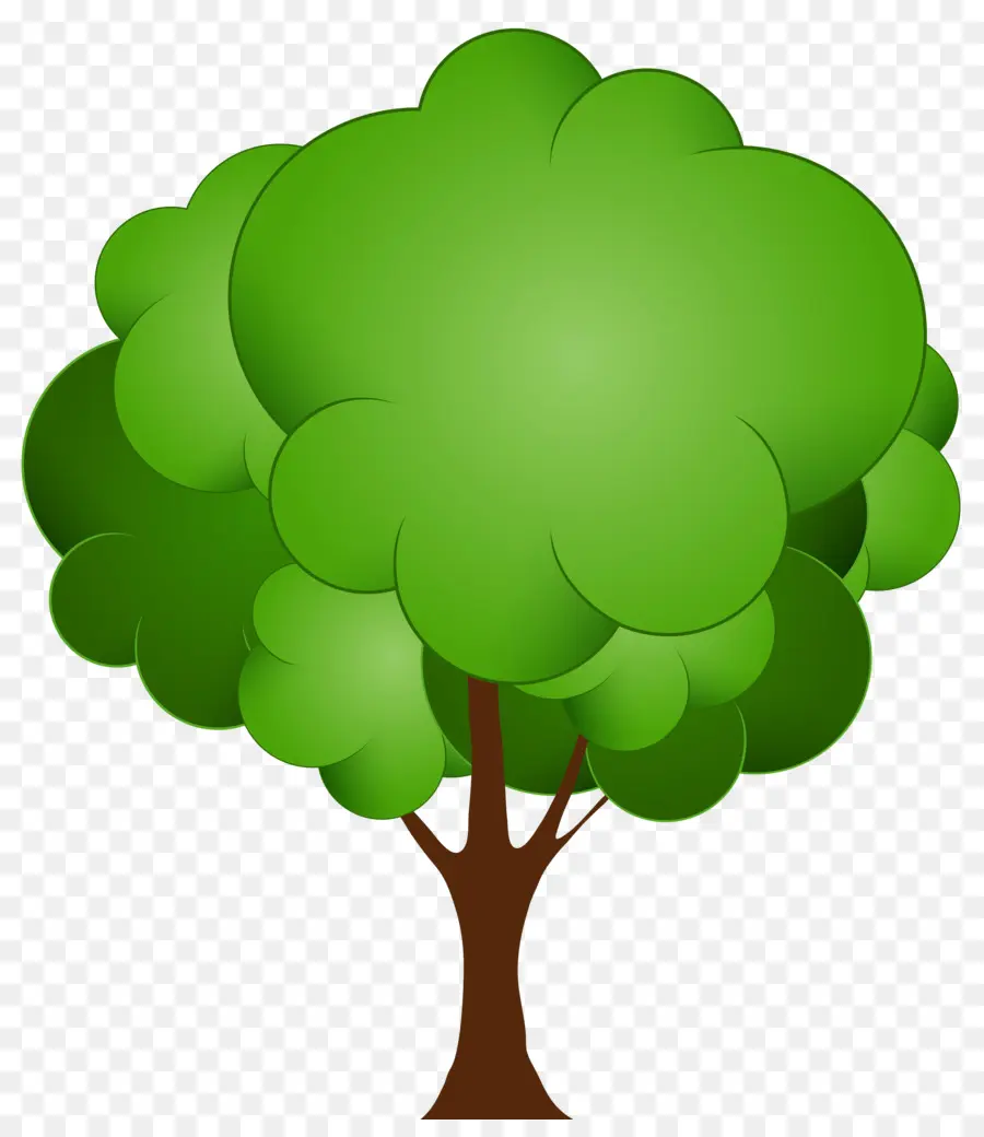 Arbre，Télécharger PNG