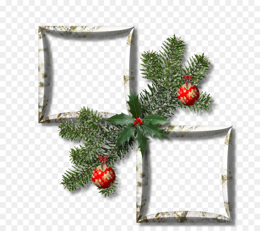 Cadre De Noël，Branches De Pin PNG