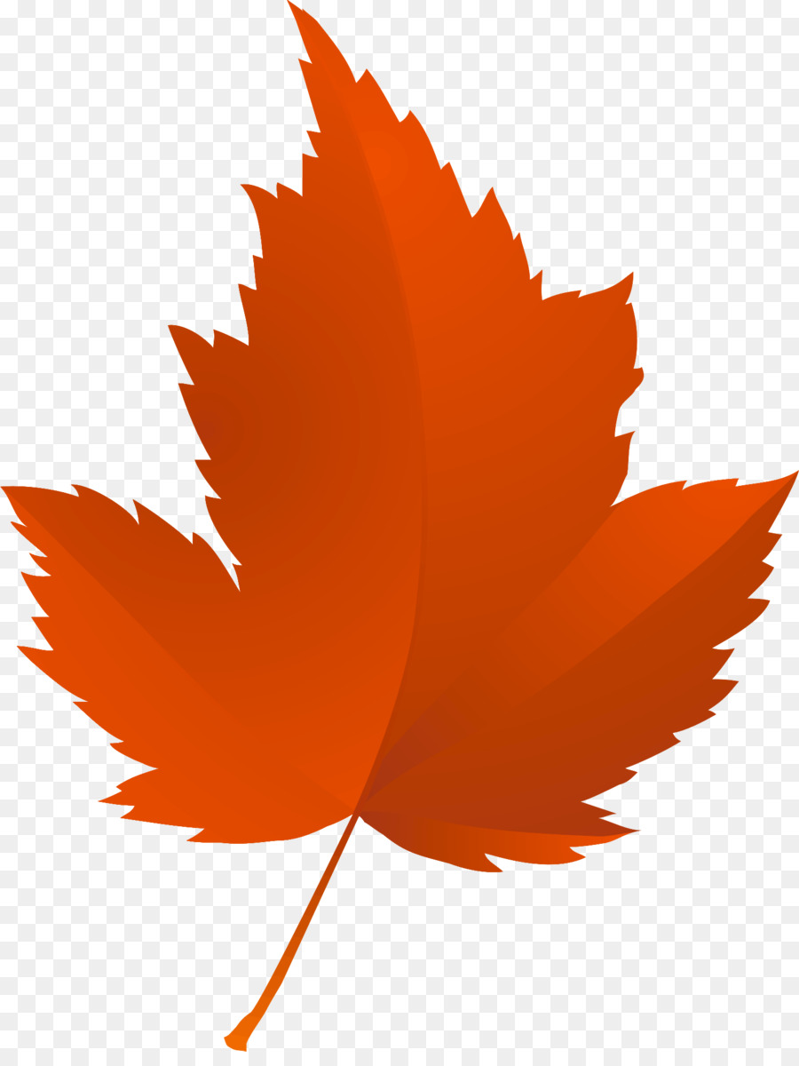 Feuille Rouge，Automne PNG