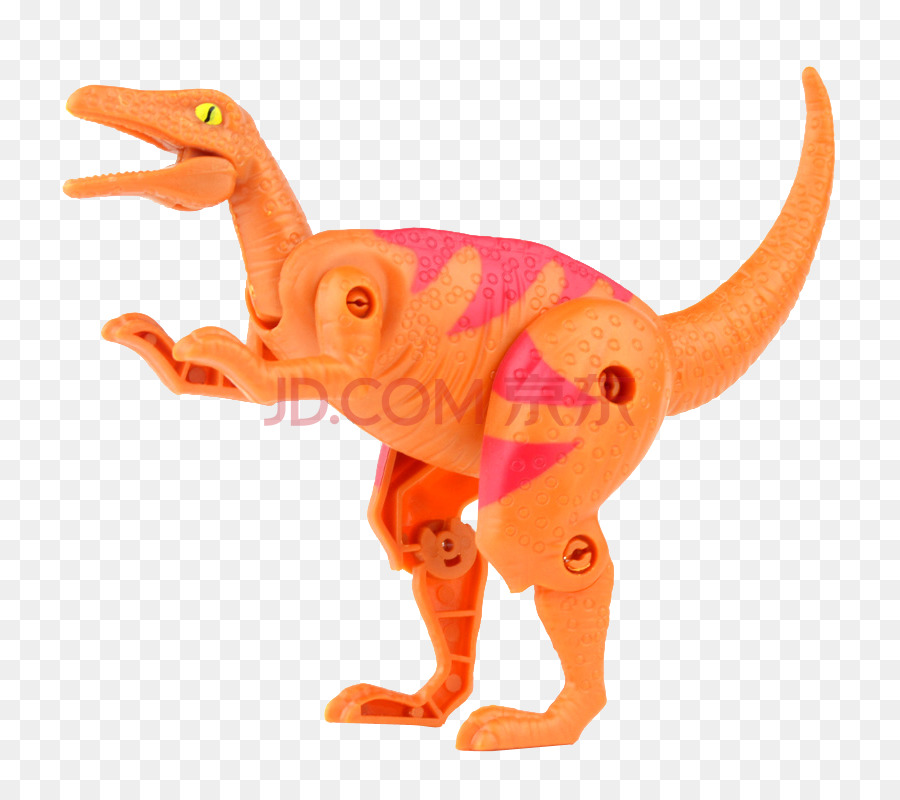 Velociraptor，Tyrannosaurus Rex PNG