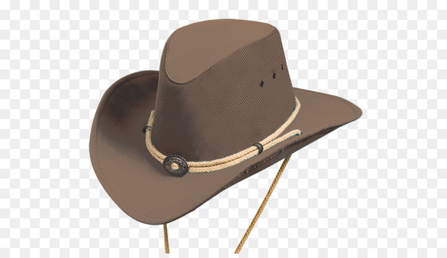 Chapeau Marron，Chapeaux PNG