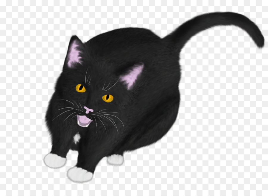 Chat Noir，Animal De Compagnie PNG