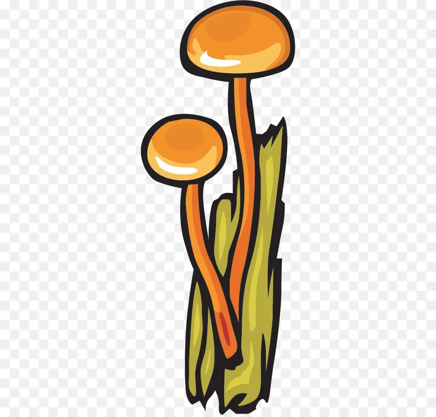 Champignons Oranges，Champignons PNG