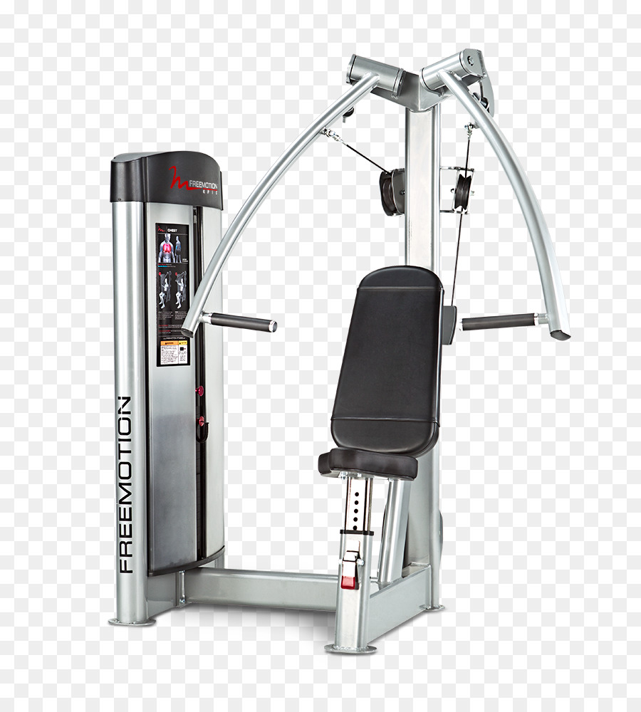Equipement D'exercice，Musculation PNG