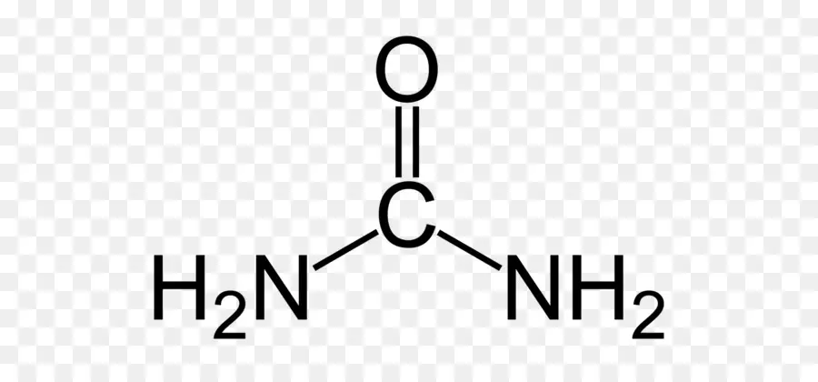 Acétate De Sodium，Molécule PNG