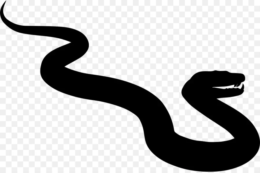 Serpent Silhouette，Noir PNG