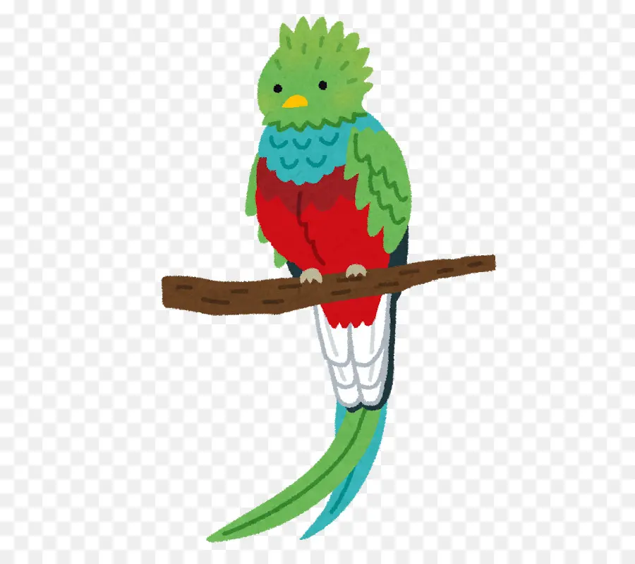 Quetzal，Bifurquer PNG