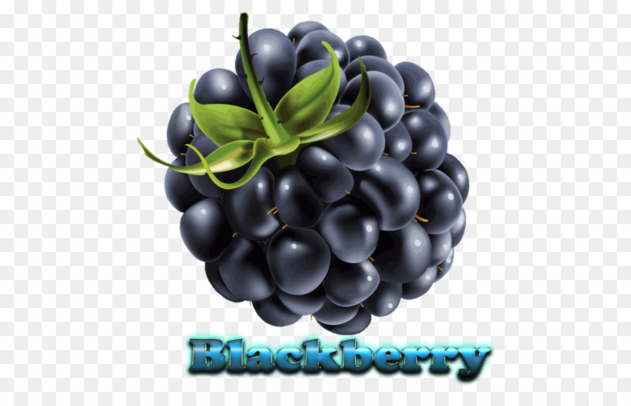 Priv Blackberry，Blackberry PNG