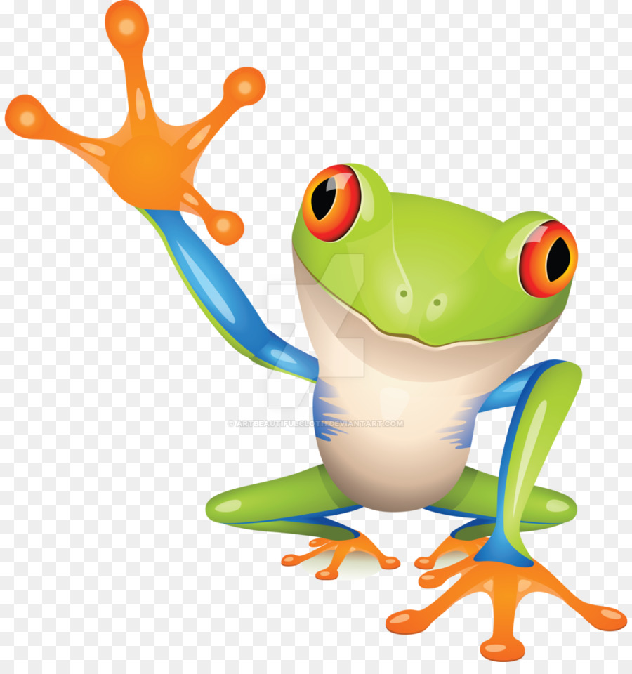 Grenouille，Grenouille D Arbre De Redeyed PNG