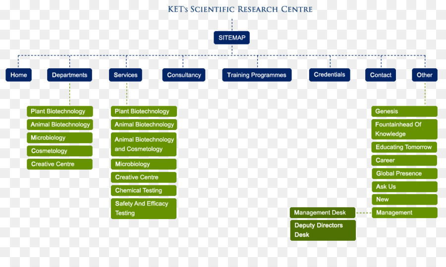 Organigramme，Structure PNG