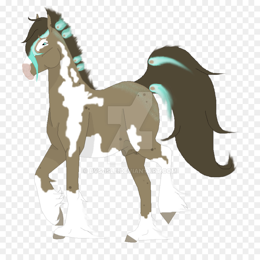 Poney，Poulain PNG