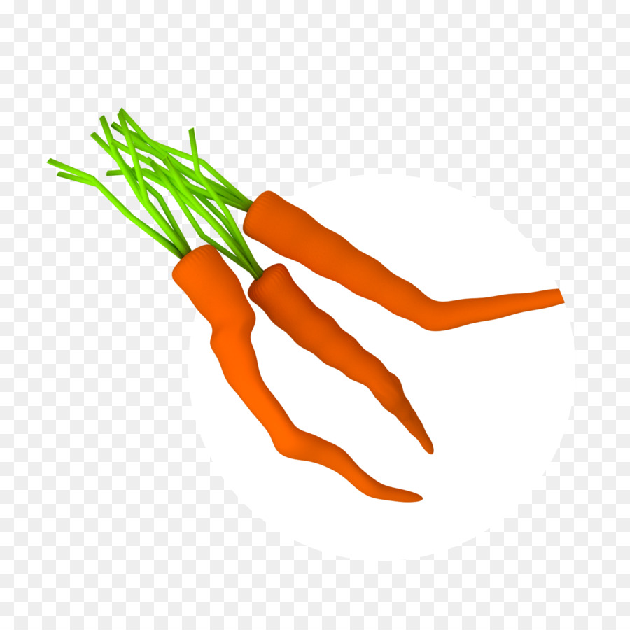 Carottes，Racine PNG