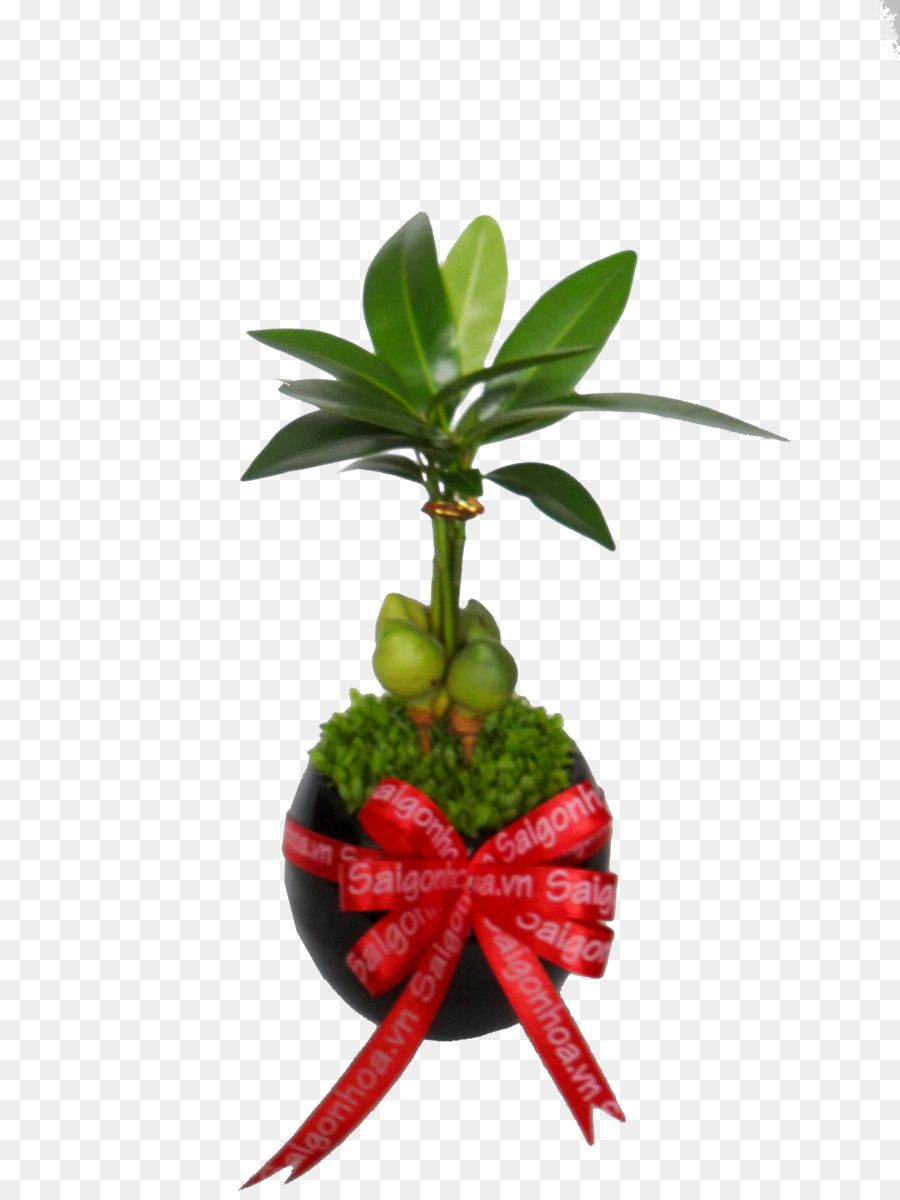 Feuille，Flowerpot PNG