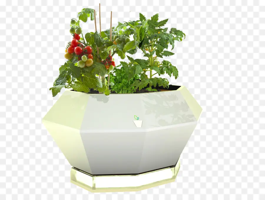 Flowerpot，Jardinière Que PNG