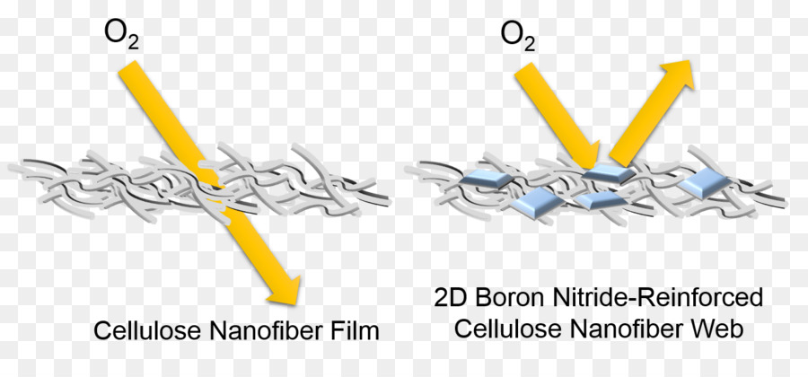 Le Nitrure De Bore Nanosheet，Nanofibres PNG