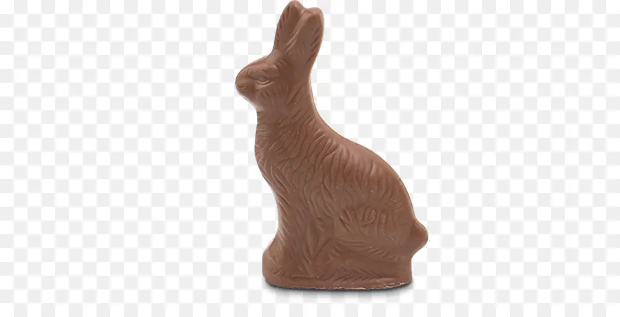 Lapin En Chocolat，Pâques PNG