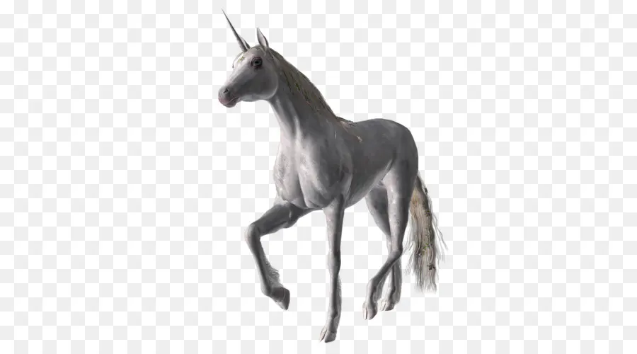 Licorne，Mythique PNG