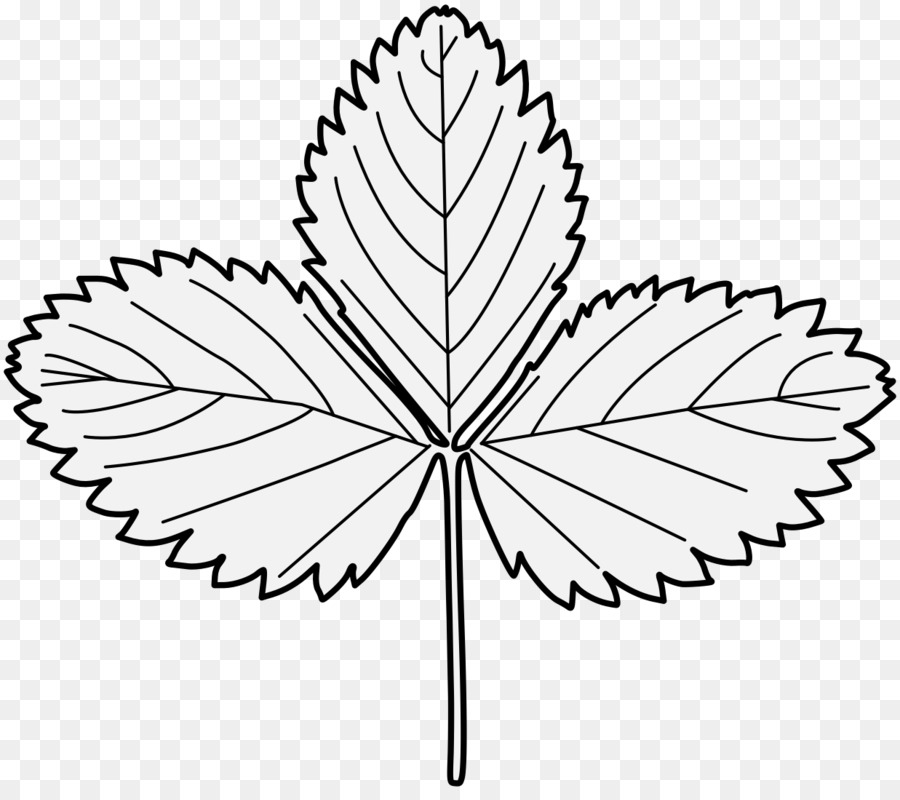 Fraise Feuille Dessin Png Fraise Feuille Dessin Transparentes Png Gratuit