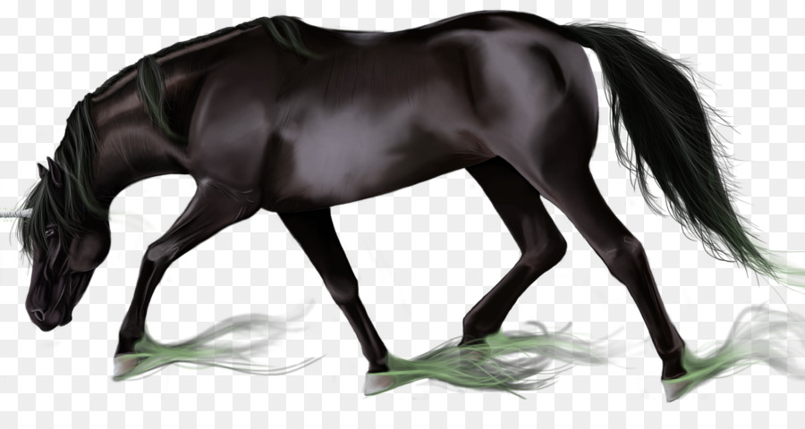 Cheval Décoré，Motifs Verts PNG