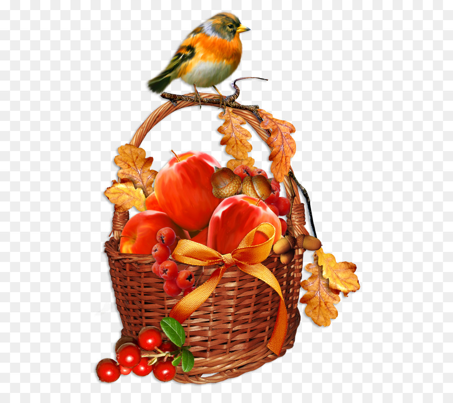 Panier Avec Fruits Et Oiseau，Fruits PNG