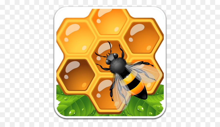 Abeille，Rayon De Miel PNG