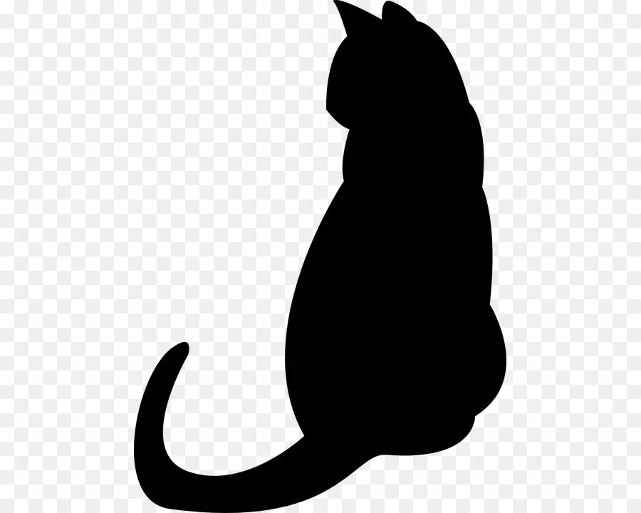 Chat，Animal De Compagnie PNG