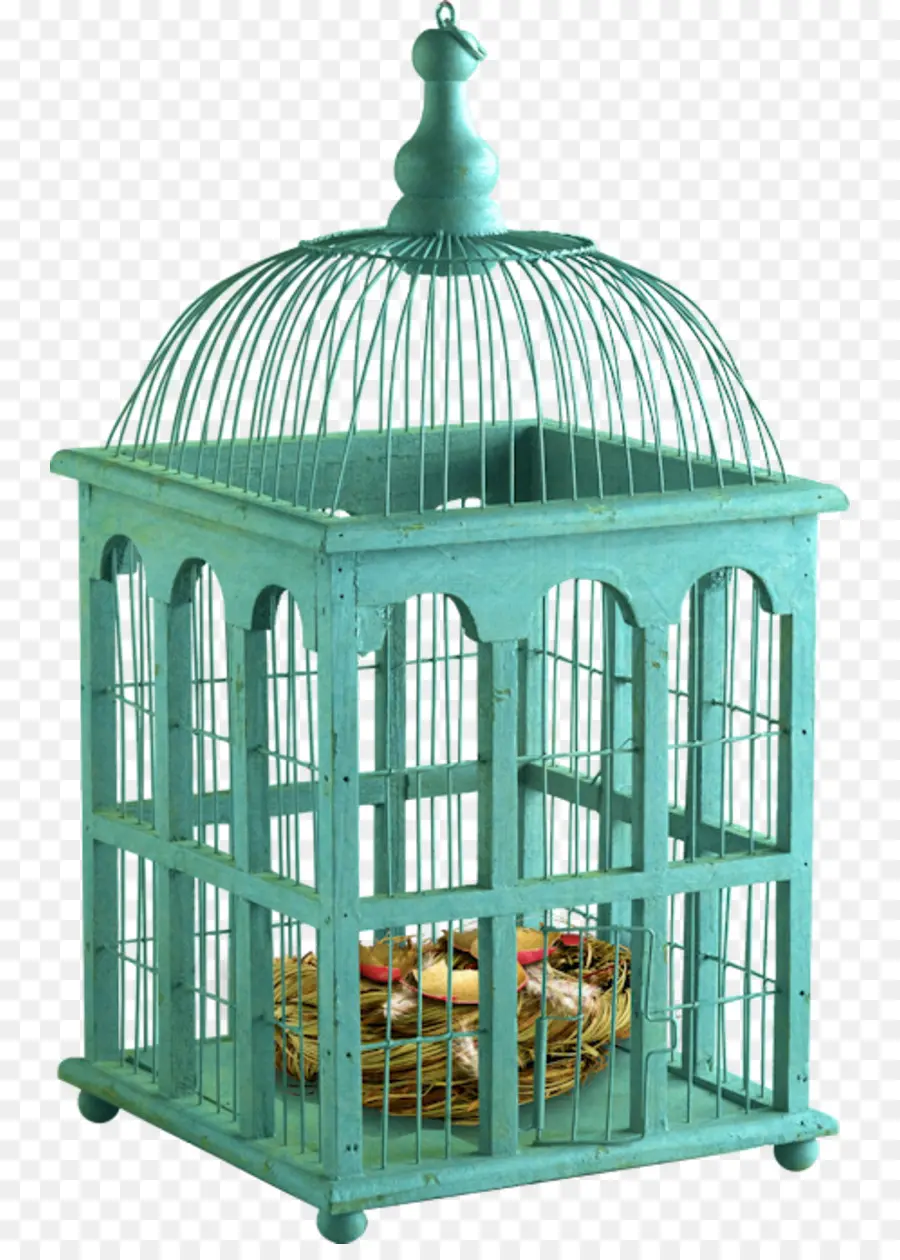 Cage à Oiseaux，Nid PNG