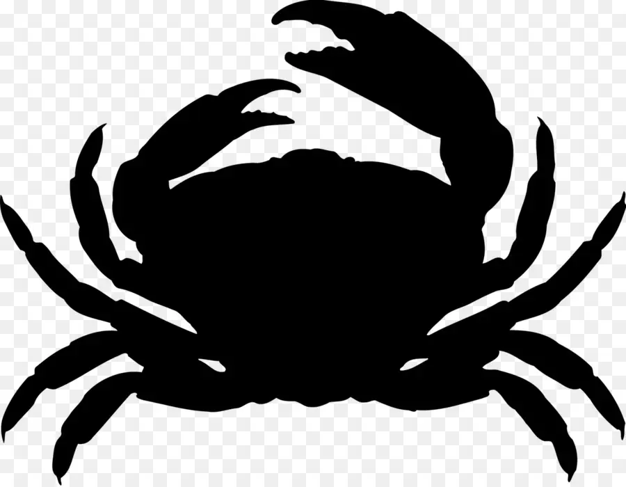 Le Crabe Dormeur，Crabe PNG