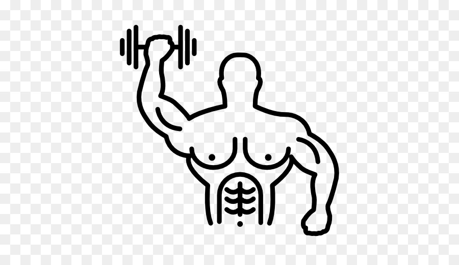 Ordinateur Icônes，Muscle PNG