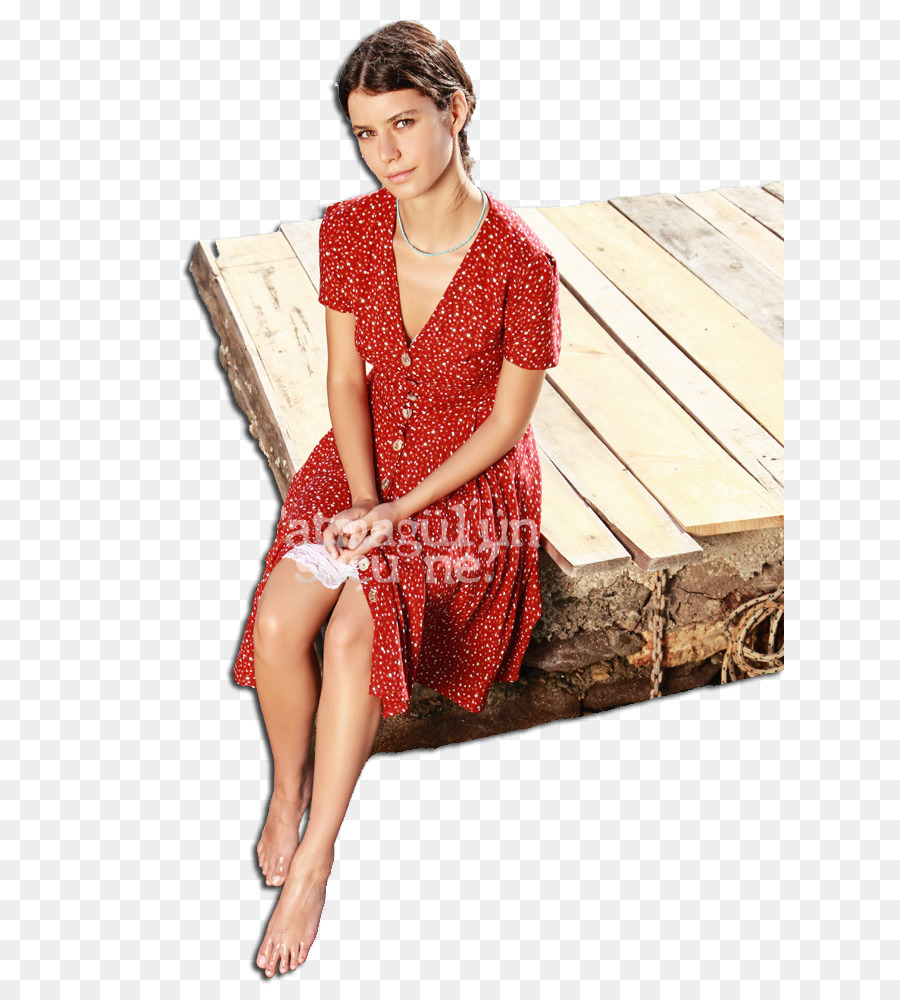 Femme En Robe Rouge，Femelle PNG