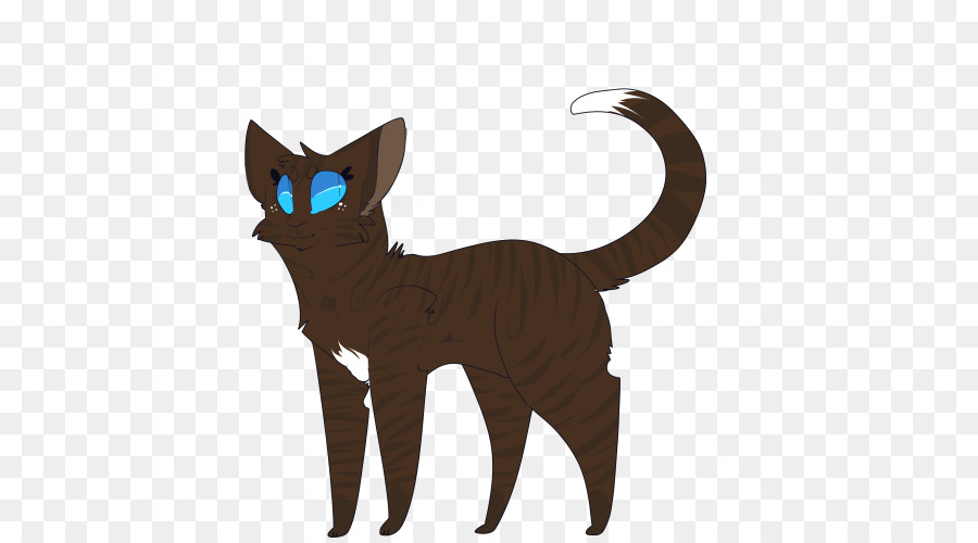 Chat Noir，Animal De Compagnie PNG