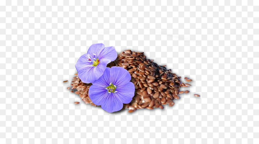 Graines De Lin，Fleurs PNG