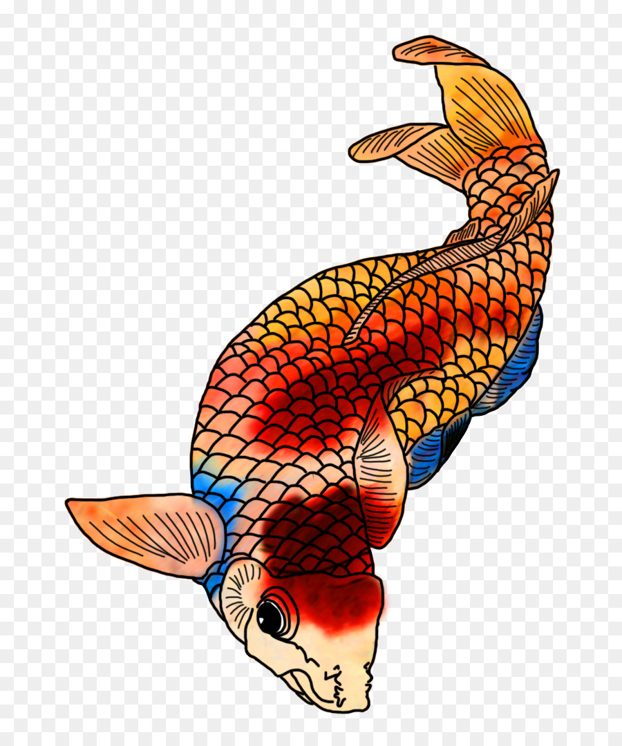 Poisson，Aquatique PNG