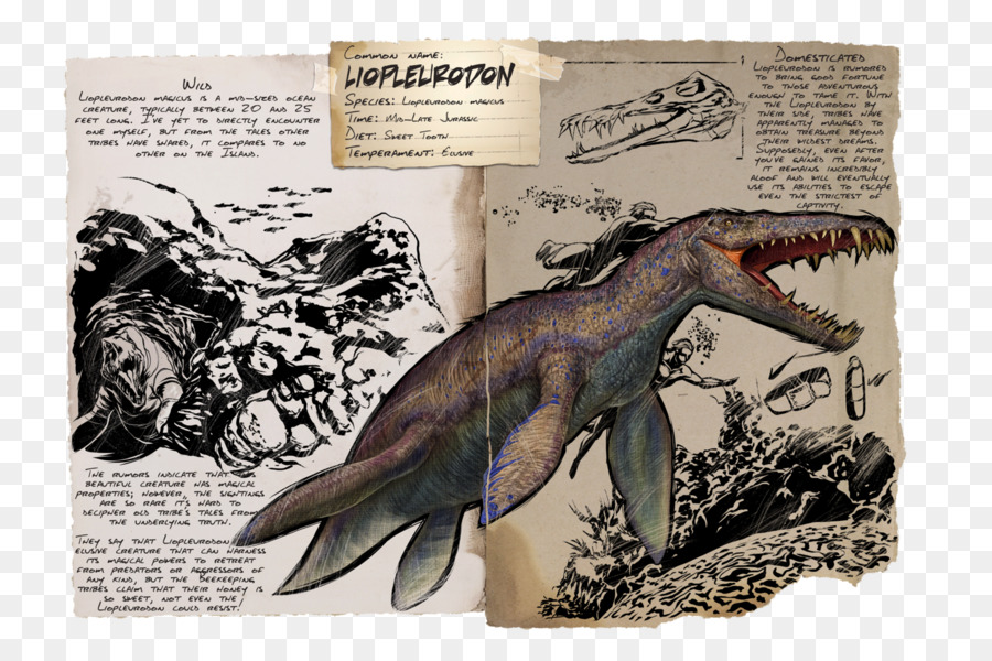 Illustration Du Plésiosaure，Dinosaure PNG