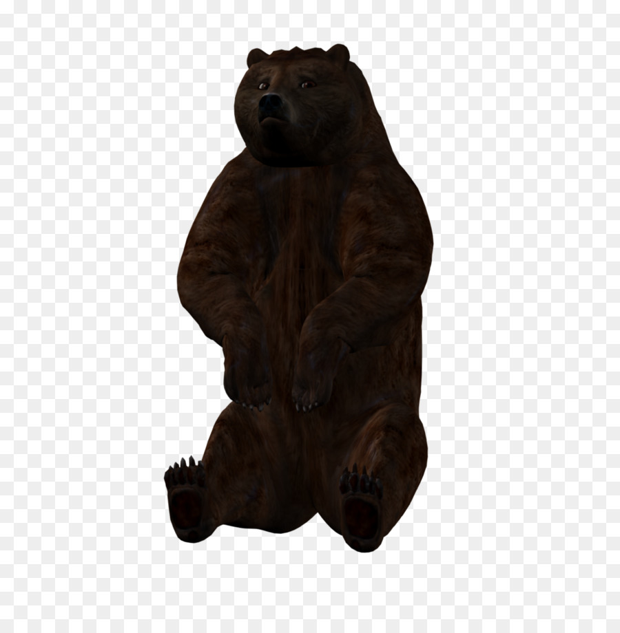 Grizzli，Ours PNG