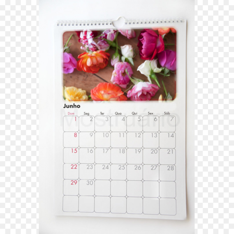 Calendrier，Pétale PNG